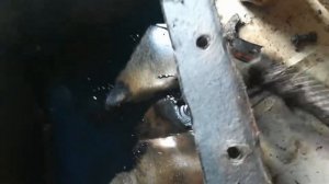 Т 25. Часть 3. Шкив не снимается....Repair t 25.part 3. The pulley can not be removed....