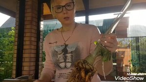 Какая Почва нужна для АДЕНИУМОВ? ФОРМИРОВАНИЕ КАУДЕКСА.#Adenium