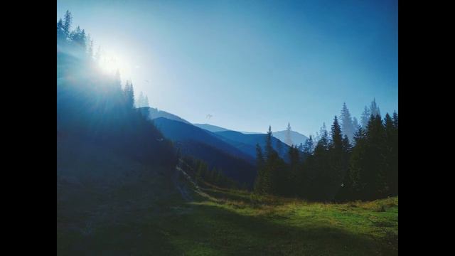 Carpathian mountains, sounds meditative forest flute in E смотреть онлайн