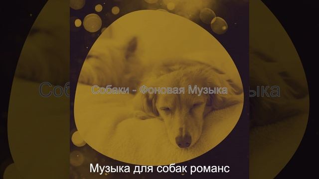 Музыка (Тихие щенки) смотреть онлайн