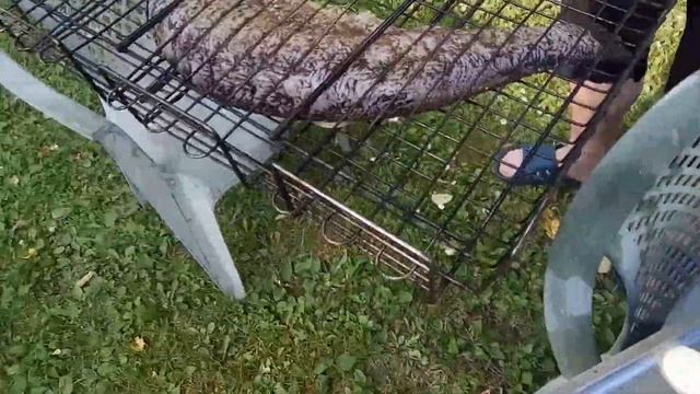 Дача щука мангал смотреть онлайн