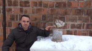 НЕВЕРОЯТНО,  ГРИБЫ В ПЛАСТИКОВОЙ БАКЛАЖКЕ БЕЗ МИЦЕЛИЯ!