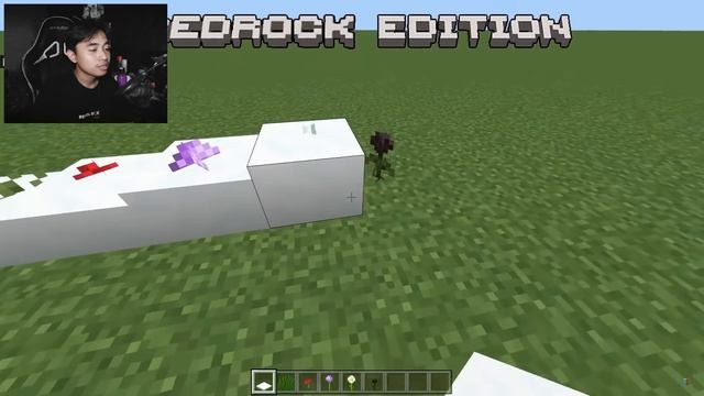 FIX TERUNGKAP PERBEDAAN JAVA VS BEDROCK MINECRAFT! смотреть онлайн