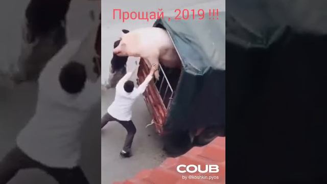 Волки позорные! смотреть онлайн