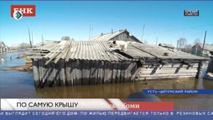 По самую крышу