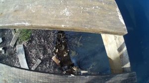 Постройка шалаша на дереве