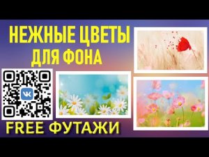 Нежные красивые цветочные фоны для видеомонтажа и проектов скачать