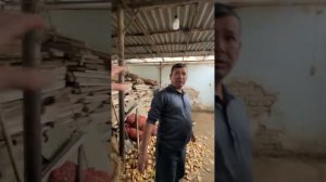 Узбекистан Бекобад 2022.    жизнь провинциального города.