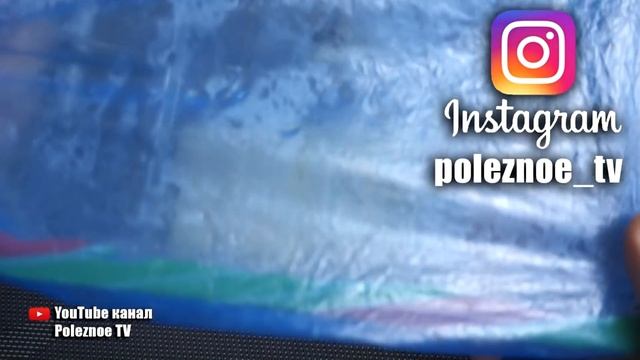 СЕМЕНА ПЕРЦА ПРОРАСТУТ В 100 РАЗ БЫСТРЕЕ ПРИ ТАКОМ ПРОРАЩИВАНИИ
