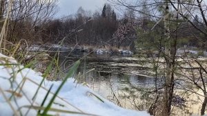 ПОСЛЕ РАЗВОДА СВЕКРОВЬ ХОТЕЛА ОТОБРАТЬ КВАРТИРУ У НЕВЕСТКИ... | Истории из жизни.