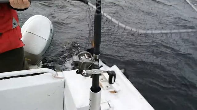 Онежское озеро смотреть онлайн