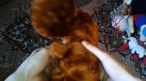 Видео: ЧЕБУРАШКА - МЯГКАЯ ИГРУШКА для детей