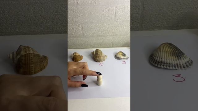 Узнай какую жизнь ты выберешь с деньгами или без? Упражнение покажет то, что скрыто в подсознании смотреть онлайн