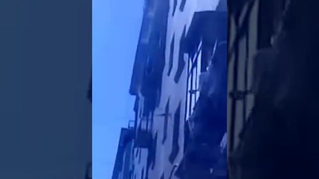 Узбеки красят Петербург смотреть онлайн