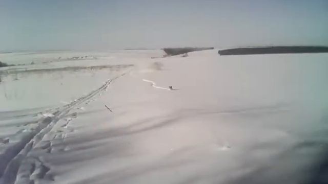 Щенок идет первый раз в поход,для него это далеким был) смотреть онлайн