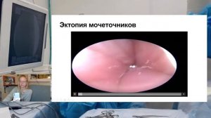 НЕДЕРЖАНИЕ МОЧИ У СОБАК И КОШЕК - ПРЯМОЙ ЭФИР