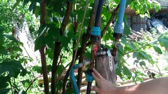 Универсальная система полива. Капельный, колонка, из бочки! Своими руками