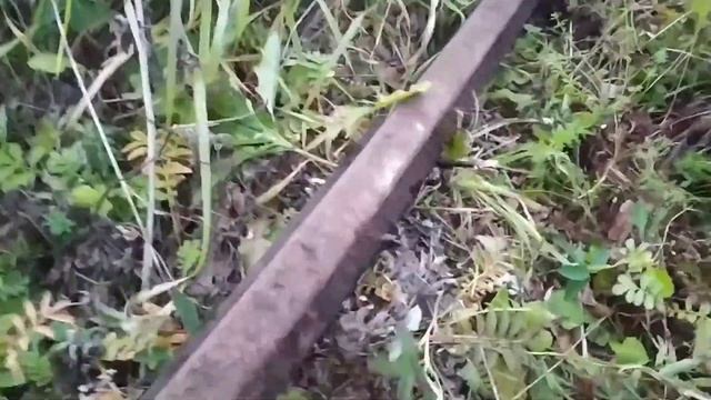 КОП МЕТАЛЛОЛОМА У СТАРОЙ ПИЛОРАМЫ, НАХОДКИ ЕСТЬ, НЕ ВЫБИТОЕ МЕСТО, ПОЕДУ ЕЩЕ ТУДА смотреть онлайн