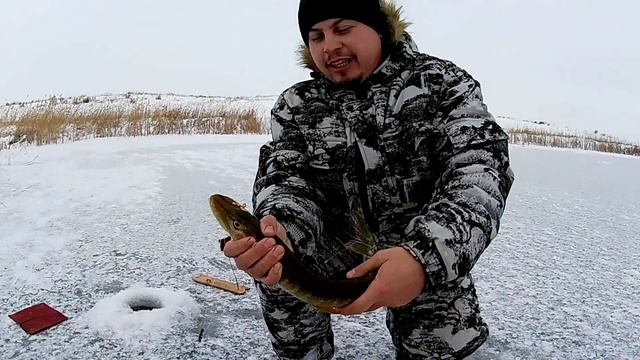 Охота на рыбалке??? Охота на зайца. Первый лед! Ловили щуку на жерлицы! Зимняя рыбалка