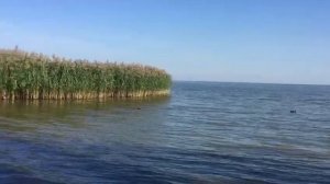 Куршский залив. Посёлок Лесной, Куршская коса. 10.09.2021, около 3 часов дня