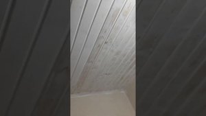 Чем покрасить вагонку. Чем вскрыть потолок. Процедура окрашивания потолка.