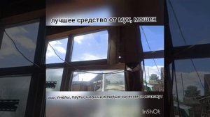 Как избавиться от насекомых (мух, мошек, ОС, пчëл, паутов, шершней и т. д) средство АГИТА.