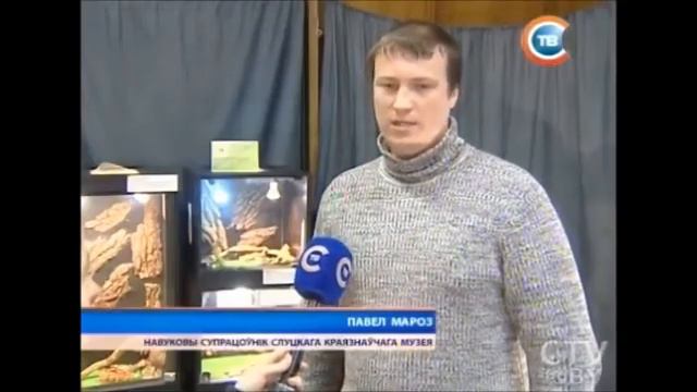 В Слуцком краеведческом музее открылась выставка рептилий смотреть онлайн