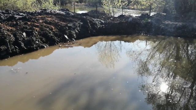 Результат известкования пруда