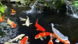 Nhạc Không Lời Ru Ngủ Về Đêm Giảm Stress 100% ☀ Hòa Tấu Guitar Hải Ngoại Phòng Trà Cafe #3