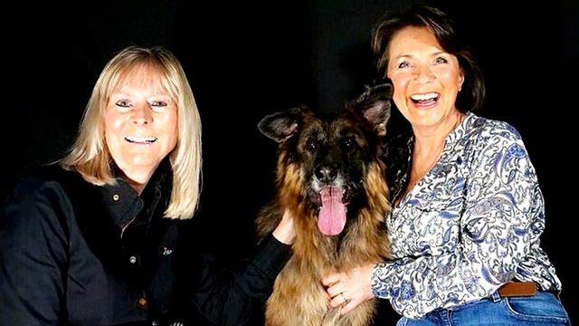 Прохожие спасли собаку из реки смотреть онлайн