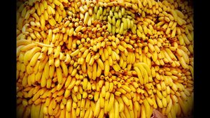 Врачи открыли Секрет. Вот почему так необходимо часто кушать бананы!