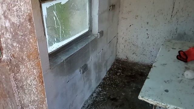 Очень важное мероприятие ?Что только не сделаешь для комфорта и здоровья курочек✌ПОБЕЛКА КУРЯТНИКА?