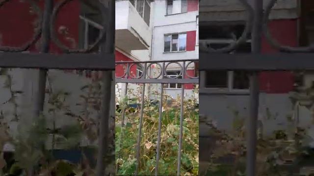 Нижний Новгород - Ильинская улица. 05.08.2022. От улицы Добролюбова до улицы Маслякова.