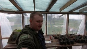 Какая сера нужна для голубики