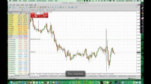 ADAM KHOO - FOREX TRADING COURSE LEVEL 2- PIP NETTER