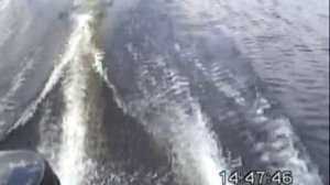 Глиссер. Лодка 3,6м с мотором Mercury 6