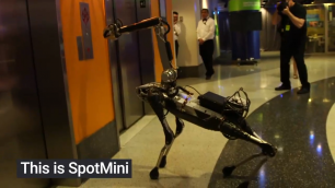 Робот-собака от Boston Dynamics делат фокусы