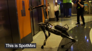 Робот-собака от Boston Dynamics делат фокусы