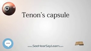 Тенонова капсула