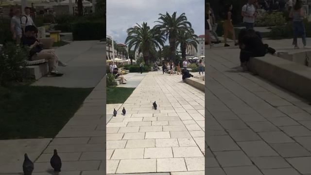 Сплит, Хорватия, набережная, Игра Престолов смотреть онлайн