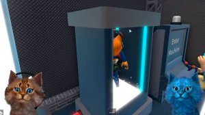 КТО САМЫЙ ХИТРЫЙ КОТ В РОБЛОКС? Весёлый Кот и КОТЁНОК ЛАЙК Roblox Murder Mystery