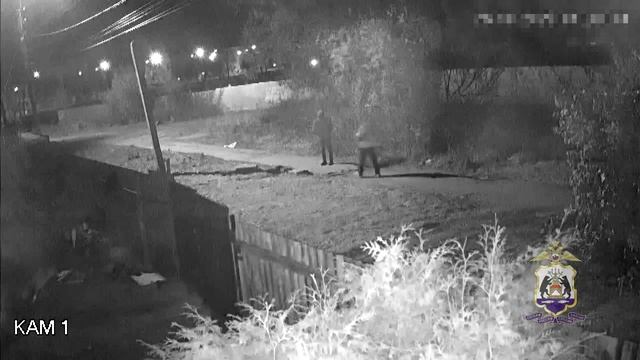 В Великом Новгороде полицией задержан мужчина, до смерти избивший прохожего в Спортивном переулке