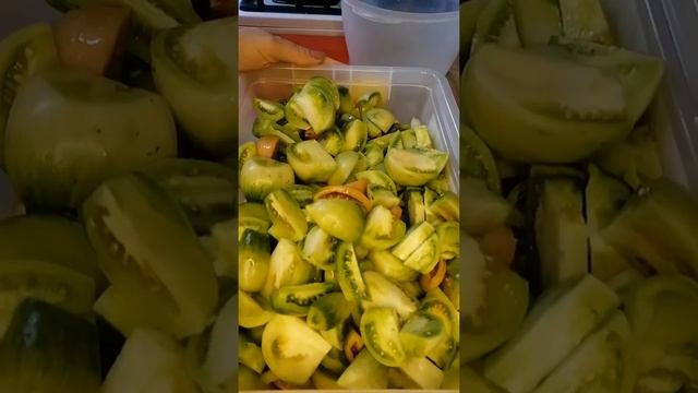 очень вкусный салат из зелёных помидор, пальчик оближешь.рецепт в описании.