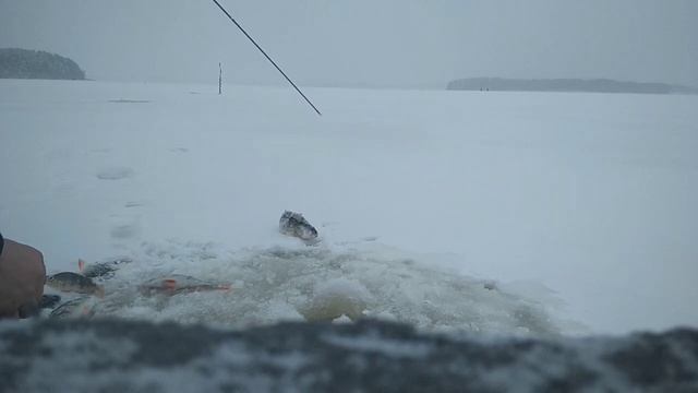 Рыбалка на р. Немде смотреть онлайн