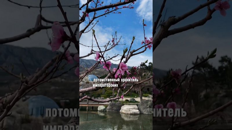 Самый красивый сад Крыма #travel #путешествия #крым