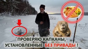 Проверка капканов зимой на водохранилище. Охота на бобров.
