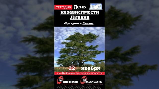 Сегодня, 22 ноября , в этот день отмечают праздник, День независимости Ливана смотреть онлайн