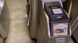 Поездка в Татарстан: Нижнекамск, Казань и Обратно.