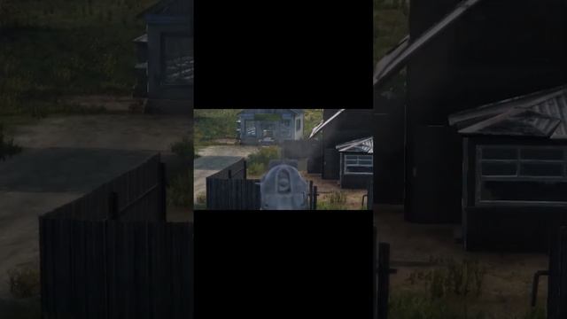 DayZ чем то похож на Tarkov ?