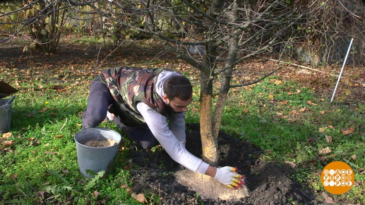 Начало молотьбы на Руси